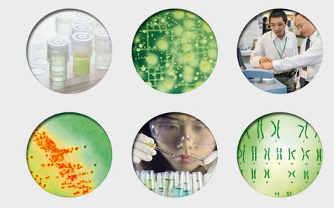 Hơn 100 đơn vị triển lãm tại Analytica Việt Nam 2015