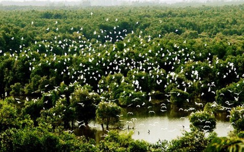Tăng cường phòng cháy ở Vườn Quốc gia Tràm Chim