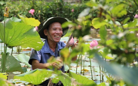 Sen nở trên hố bom năm xưa