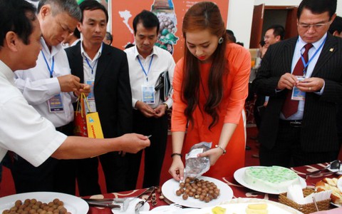 Đầu tư 16.600 tỉ đồng vào 5 tỉnh Tây nguyên