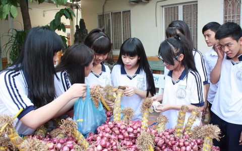 Hành tím Trung Quốc giá ổn định, hành tím Vĩnh Châu tại sao không?