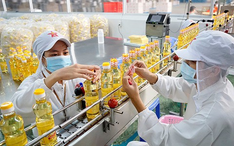 Những giá trị dinh dưỡng bất ngờ của dầu cá tra, basa