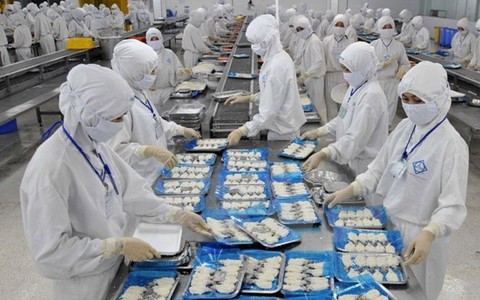 VN là đối tác tiềm năng của EU