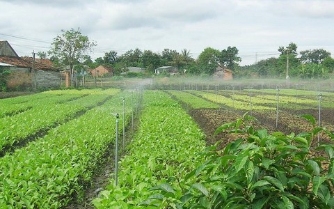 ​Áp dụng giải pháp tưới tiết kiệm nước