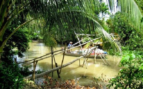 Cần Thơ phát triển du lịch sinh thái miệt vườn ở Phong Điền