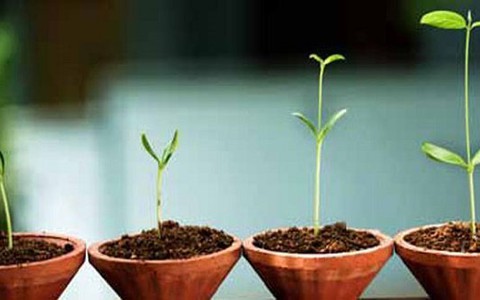 Tiêu dùng có trách nhiệm vì một trái đất phát triển bền vững
