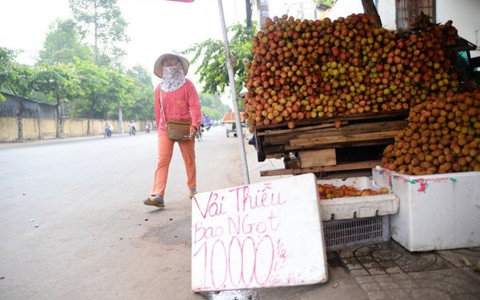 Saigon Co.op hỗ trợ tiêu thụ 800 tấn trái vải tươi