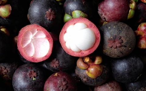 Nhà vườn ở Trà Vinh thất thu gần 50% sản lượng măng cụt