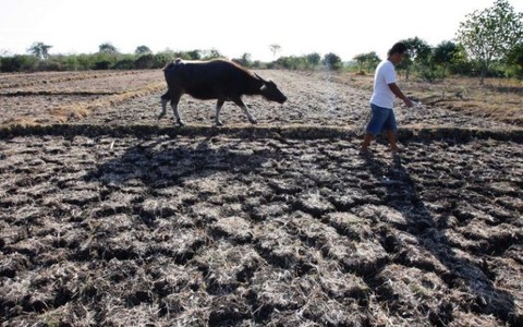 Lo ngại El Nino ảnh hưởng vụ mùa  Đông Nam Á