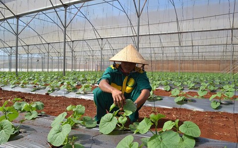 Ngày 14-11 là ngày truyền thống ngành NN&PTNT