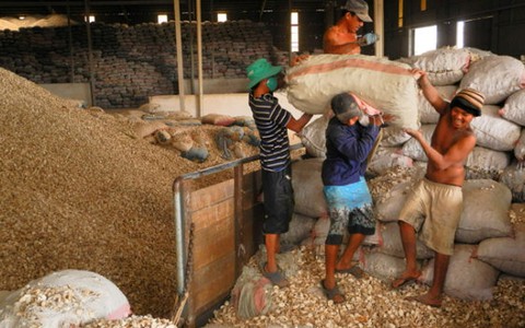 Kiến nghị không áp thuế xuất khẩu khoai mì lát