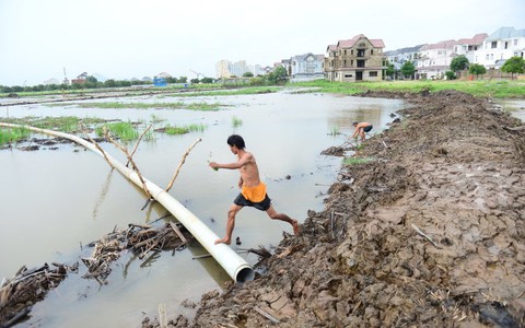 Truy trách nhiệm nơi cho lấp rạch làm dự án