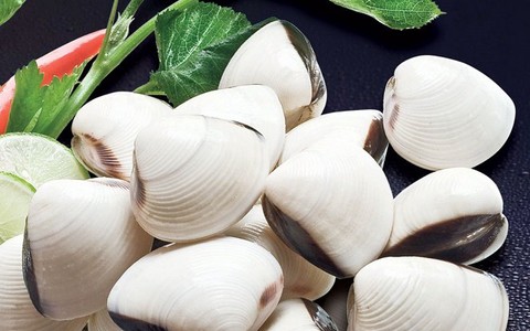 Việt Nam là nước xuất khẩu nghêu nhiều thứ 3 sang Mỹ