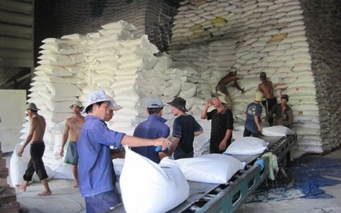 Doanh nghiệp không thực hiện hợp đồng bao tiêu lúa gạo?