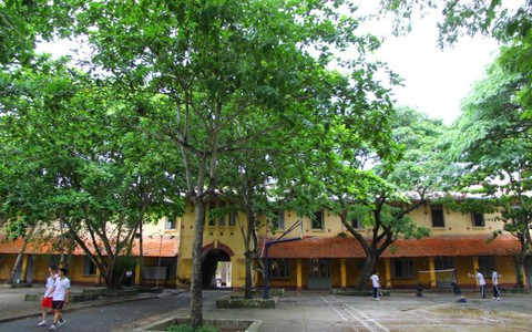 Ngưng xây mới trường Châu Văn Liêm, mời chuyên gia thẩm định