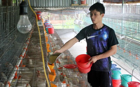 Trưởng thành từ trại thực nghiệm