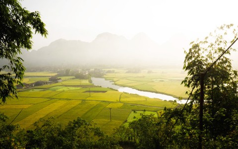 Mùa vàng ở thung lũng Bắc Sơn