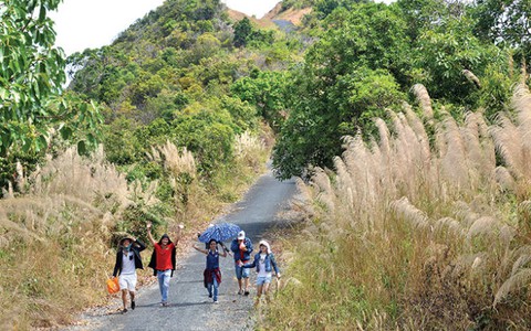 Biển xanh Nam Du “ngợp” khách du lịch