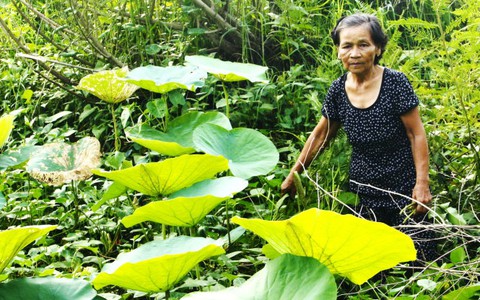 Những câu chuyện bên đường biên giới