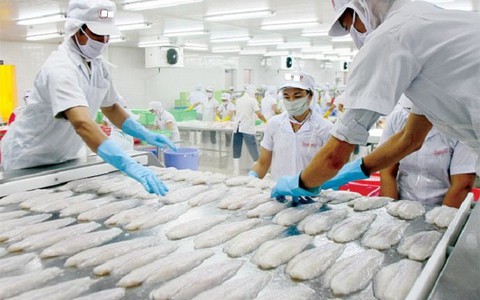 Xuất khẩu cá tra sang Anh liên tục tăng trưởng