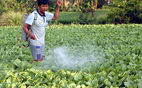 Hơn 9.000 tỉ đồng nhập thuốc trừ sâu