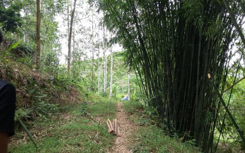 Nghi phạm đánh dã man hai cháu nghi đã tự tử