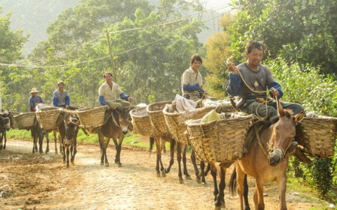 Rạng rỡ Bản Lầu
