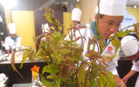 ​Lâu rồi mới thấy lá sâng