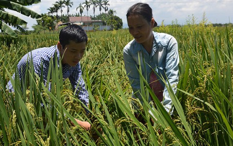 Ước mơ bác sĩ của “nông dân” và “mọt sách”