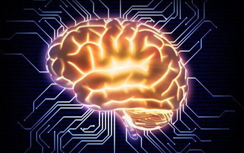Não lớn chưa hẳn có IQ cao