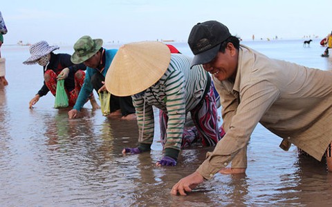 “Nghêu tặc”
và công bằng