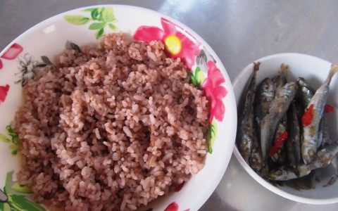 Nhớ cơm gạo đỏ núi rừng Phú Yên