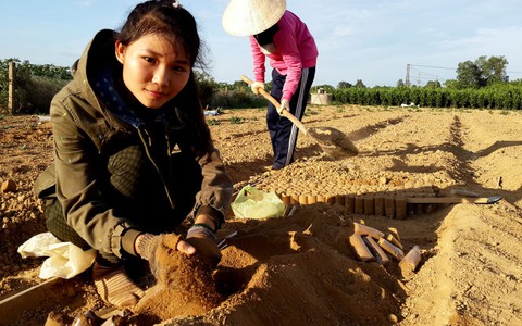 Vất vả kiếm tiền
để đi học