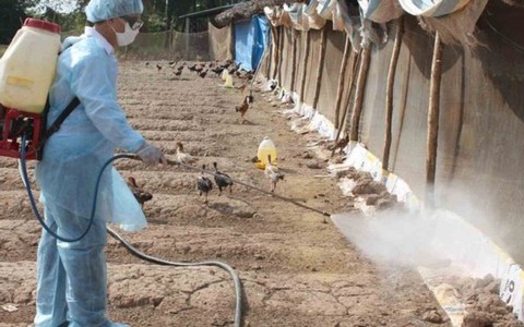 ​Xuất cấp vắc xin, hóa chất sát trùng cho 5 địa phương