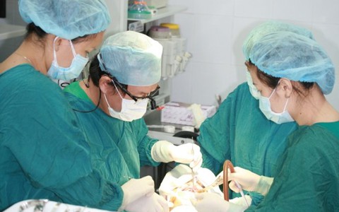 Implant xương gò má giúp trồng lại răng bị tiêu xương hàm