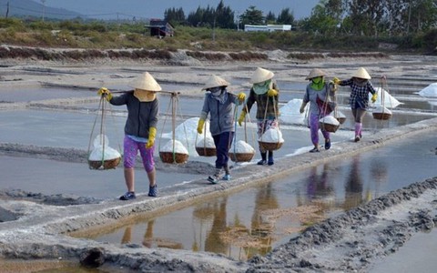 Khánh Hòa tồn đọng 40.000 tấn muối do giá muối giảm mạnh