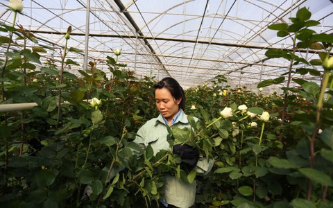 Đà Lạt có cơ chế đặc thù