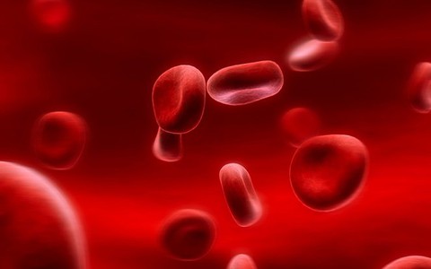 ​10 triệu người Việt mang gen bệnh tan máu bẩm sinh