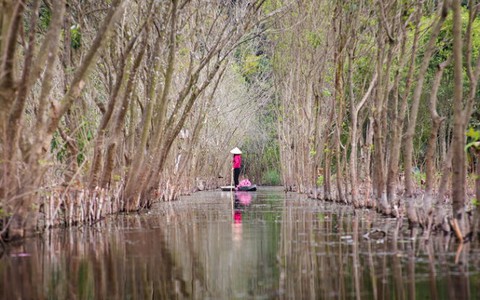 Suối Yến vào thu