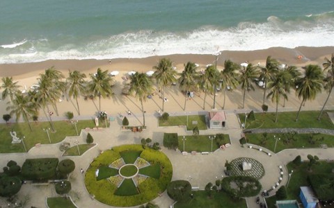 Giúp Nha Trang thêm duyên nhưng dừa không ra phố
