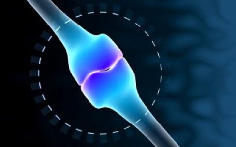 Thử nghiệm tiêm tế bào gốc để phòng bệnh xương thủy tinh
