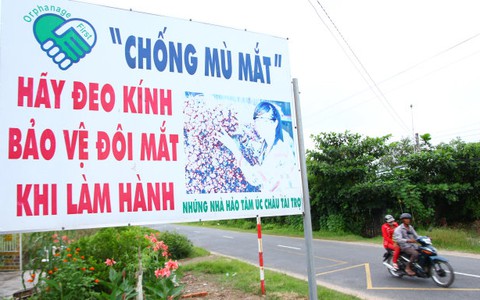 Thứ trưởng Bộ Y tế khẳng định hành tím không gây mù