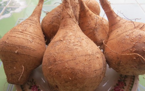 Món ngon củ sắn quê nghèo