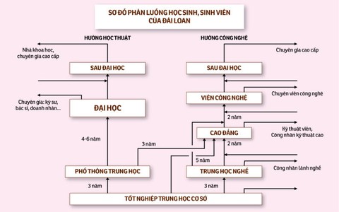 Không thể chậm trễ phân luồng sau trung học cơ sở