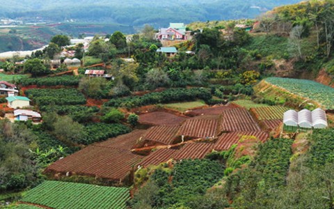 Đất ngoại ô Sài Gòn được săn đón