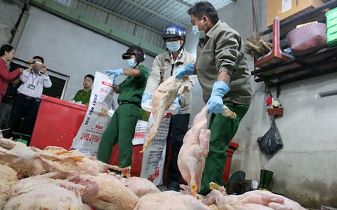 Giám sát an toàn vệ sinh thực phẩm