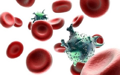 Ngăn chặn virus HIV ngay tại thời điểm thâm nhập