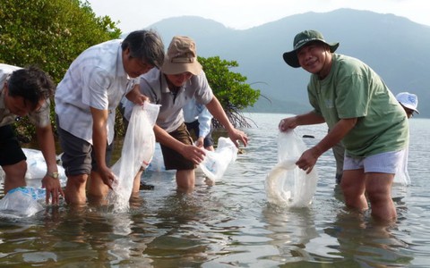 Trung Quốc bãi bỏ lệnh dừng nhập tôm sú giống từ Việt Nam