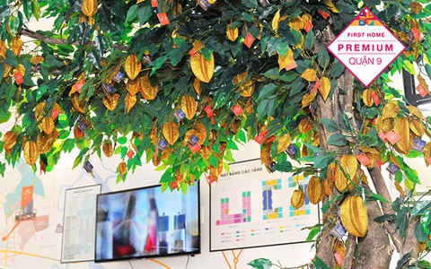 Cuộc sống thăng hoa tại First Home Premium quận 9