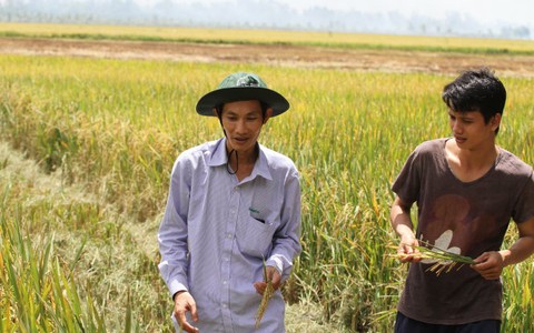 Lúng túng với mô hình
hợp tác xã kiểu mới